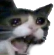 Crymkp