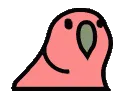 rainbowbird