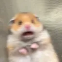z_Scared z_Scared
