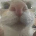 SmileyBanana