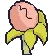 chompynod