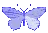 ybutterfly