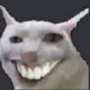 catwhasgud