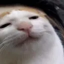 aye