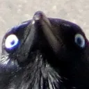 hehe