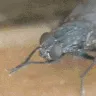 maliciousintent
