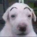 waos
