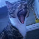 RAHHHH