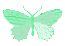 7336greenbutterflyholo