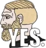 yes