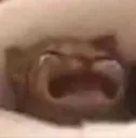 waaaa