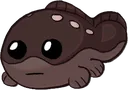 LCtbhclodsire