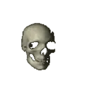 spinningskull