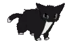 DanceCatto