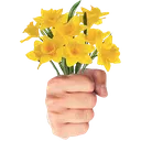 flowers4u