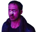 gosling