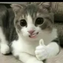 catsmirkthumbs