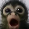 00