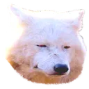 luluwolf2 Discord Emoji