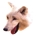 luluwolf3 Discord Emoji