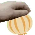 pettheonion