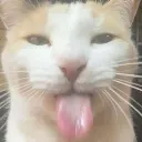 rathersilly