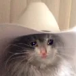 YeeHaw