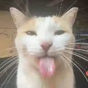 silliest