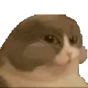 catNum Discord Emoji