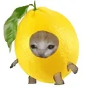 emoji_53