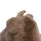bunny_vibe