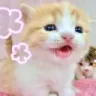 meepie3