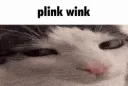 plinkblink