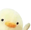 duckwave