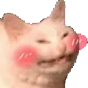 Happyblushkitty