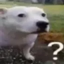 huhdog
