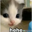 hehe