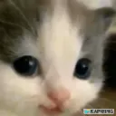 hehe2