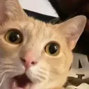 BamboozledFlabbergastedBanana