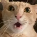 GobsmackedBanana2