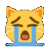 Cat Cry cat_cry Discord Emoji