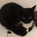 BE_maxwell BE_maxwell