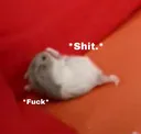 Heck