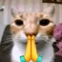 pleasepleaseplease