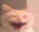 sillycat