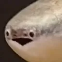 hee