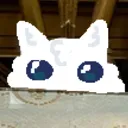 peek peek