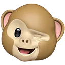 SillyMonke