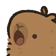 capypop