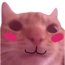 swaguwu Discord Emoji